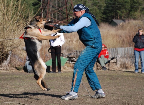 Training in Estonia 30.3 - 1.4. 2007